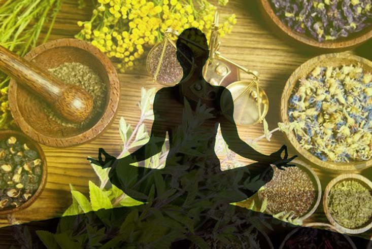 bachelor of naturopathy and yogic sciences