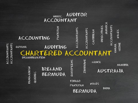 bcom in chartered accountancy